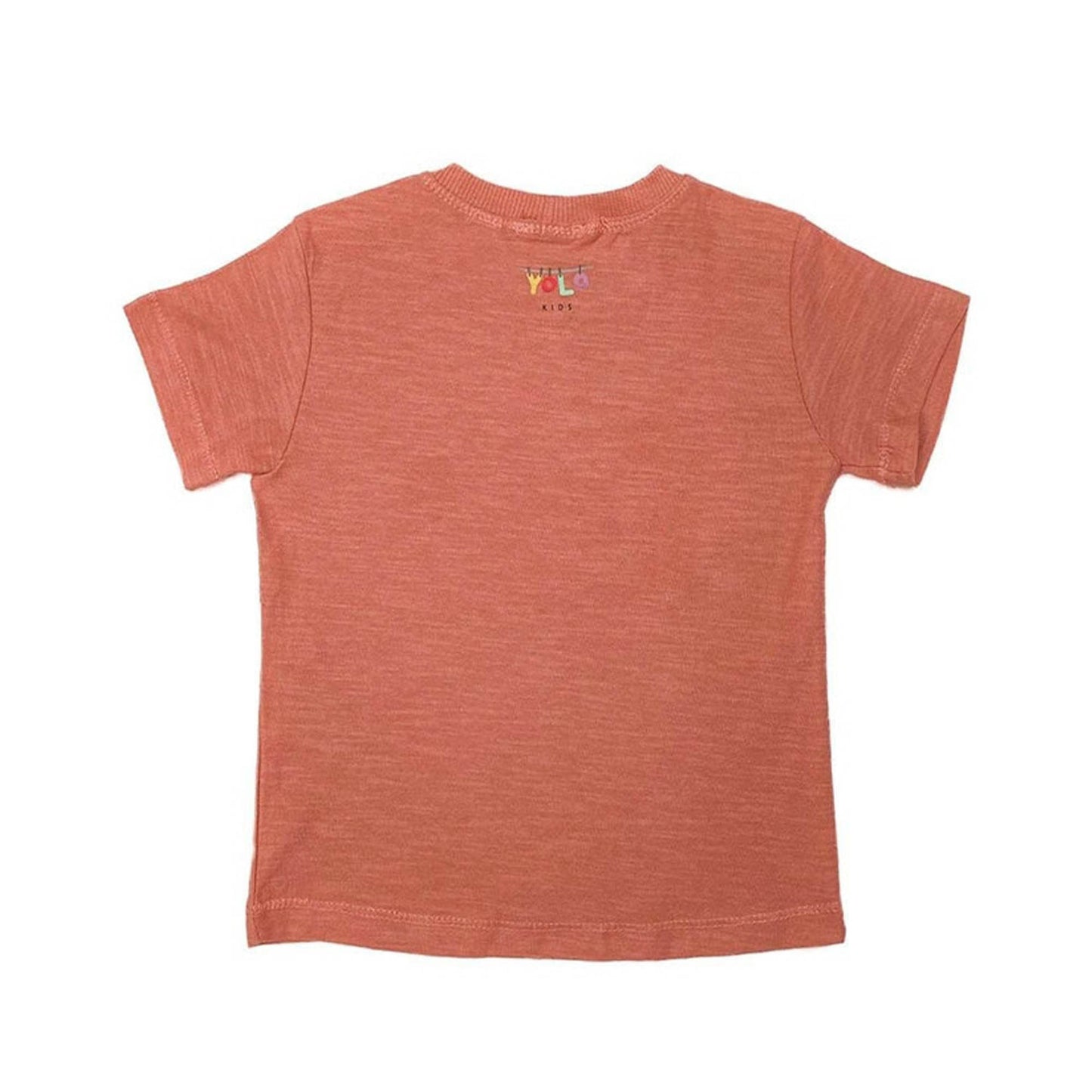 Boys T-Shirt Animal - Brown