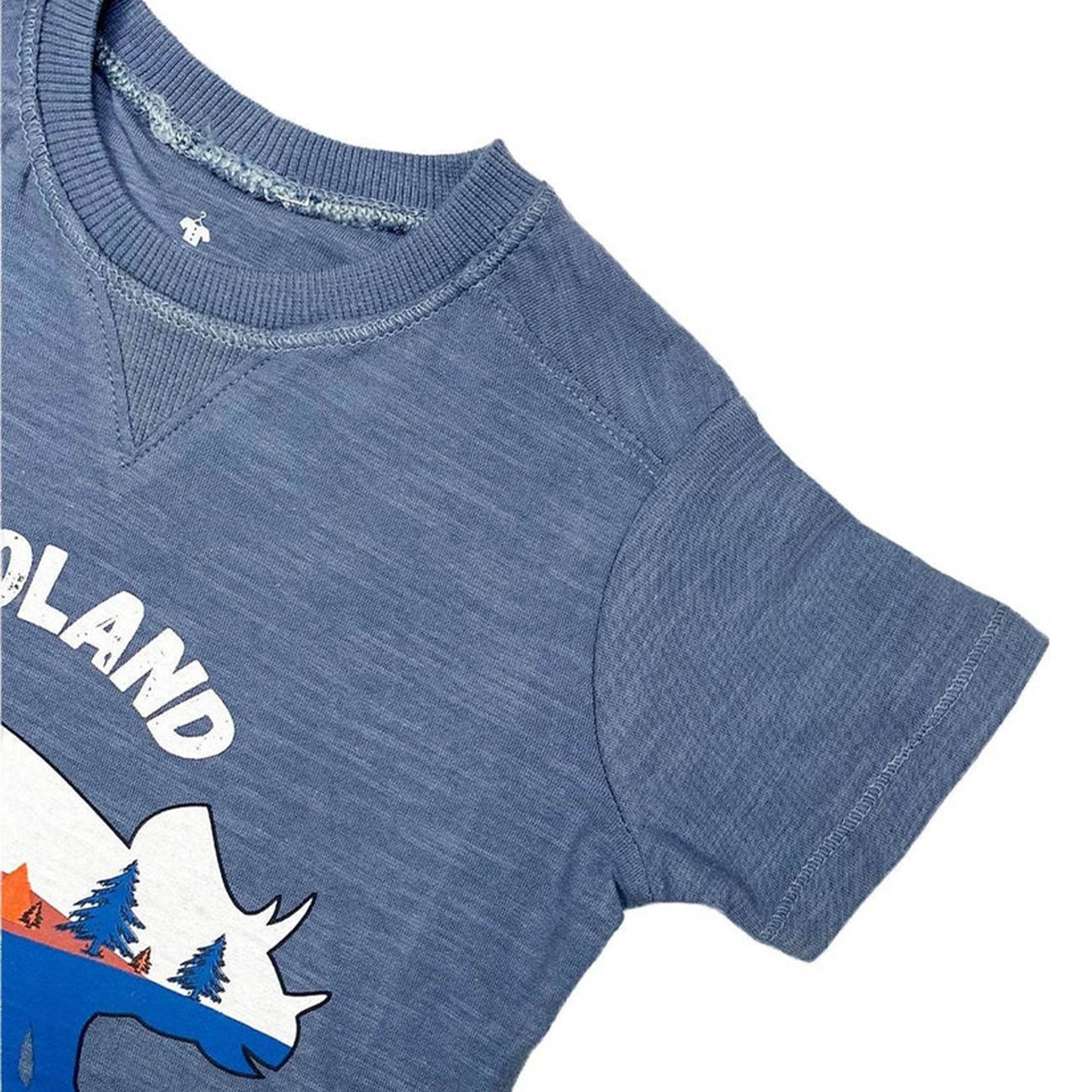 Boys T-Shirt Dinoland - Blue