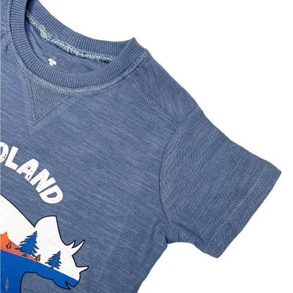 Boys T-Shirt Dinoland - Blue
