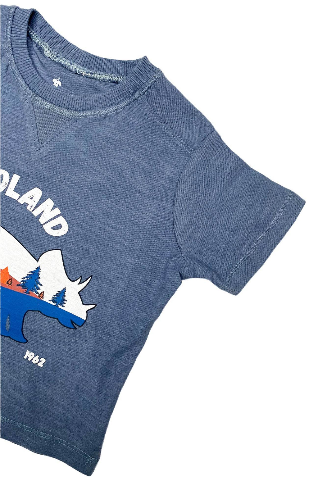 Boys T-Shirt Dinoland - Blue - Cute Kids