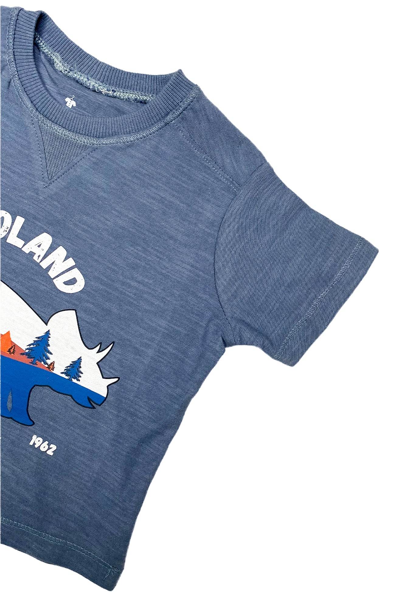 Boys T-Shirt Dinoland - Blue - Cute Kids