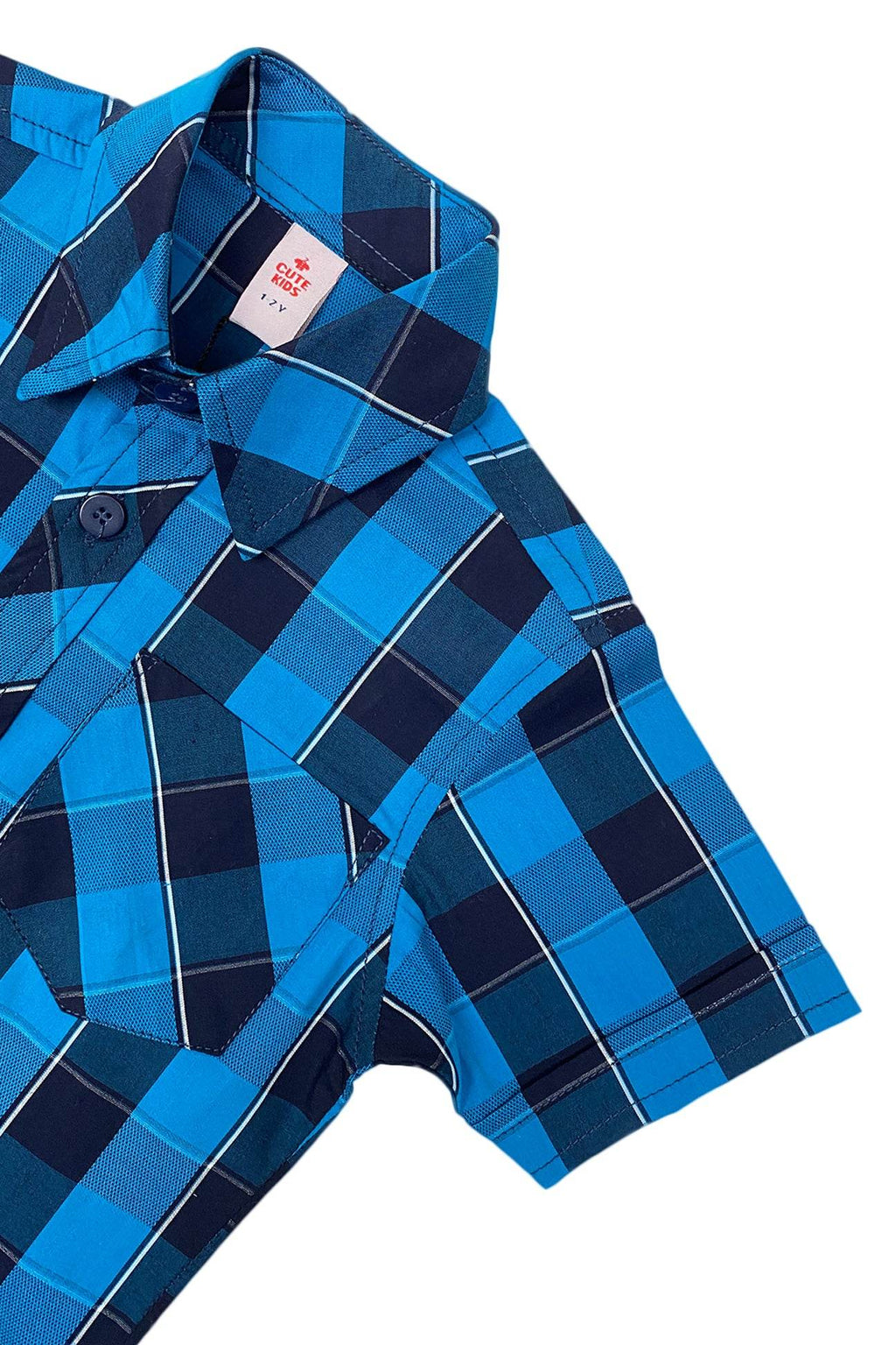 Blue Check Shirt – Fresh & Fun! - Cute Kids
