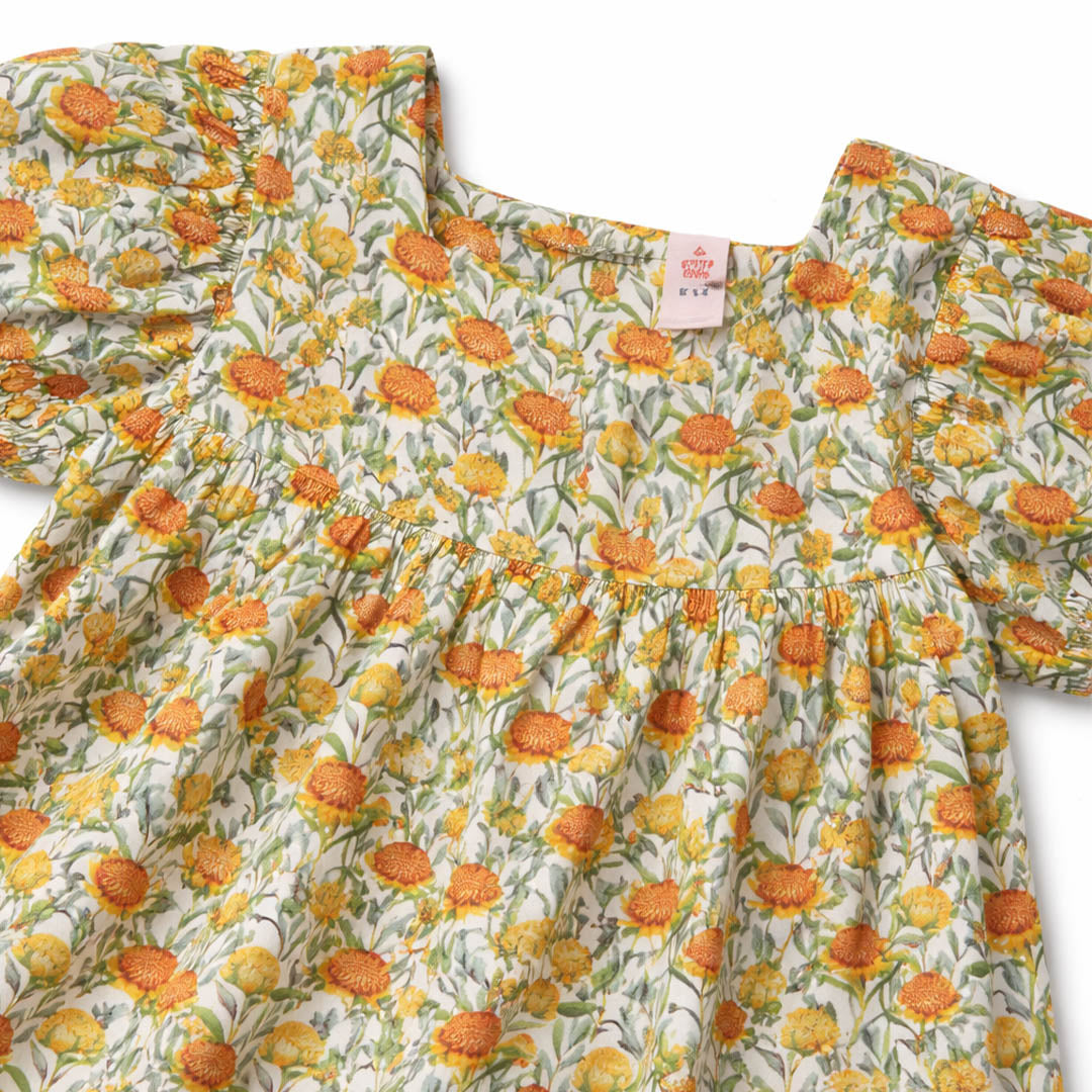 Girls Frocks - Multy