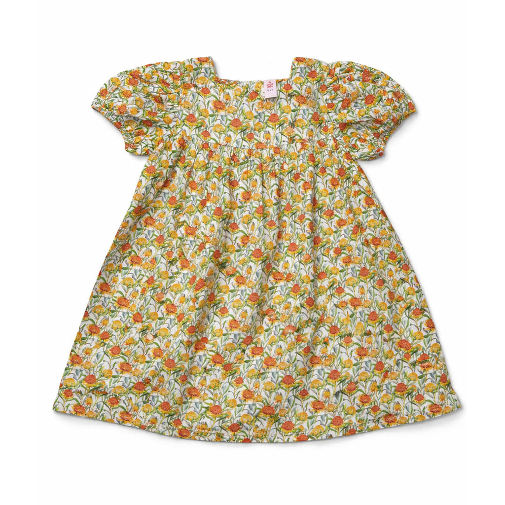 Girls Frocks - Multy
