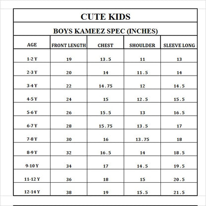 Boys Embroidered Shalwar Suits - Steel Grey